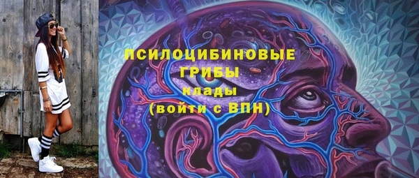 гидра Нея
