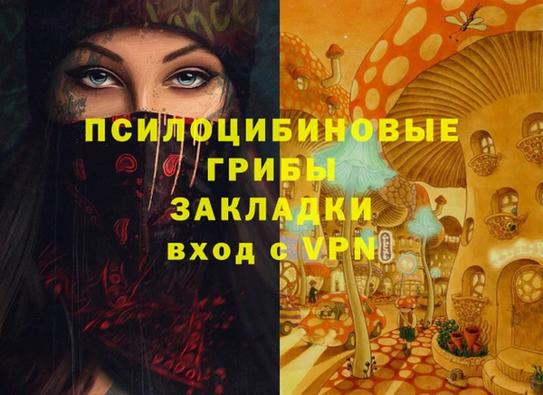 гидра Нея