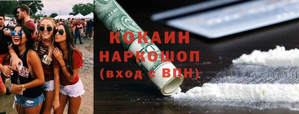 прущий лед Новозыбков