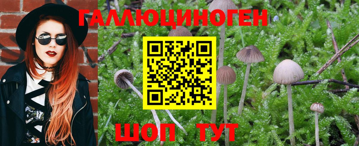 Галлюциногенные грибы Magic Shrooms Апрелевка