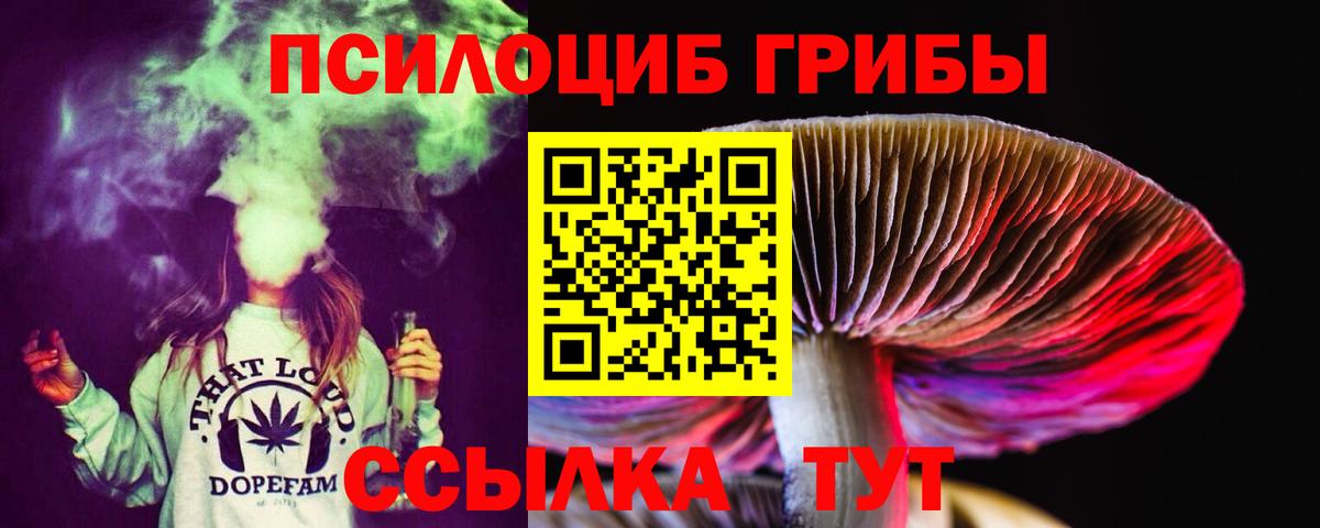 Галлюциногенные грибы Magic Shrooms  Псилоцибиновые грибы Psilocybe  Апрелевка 